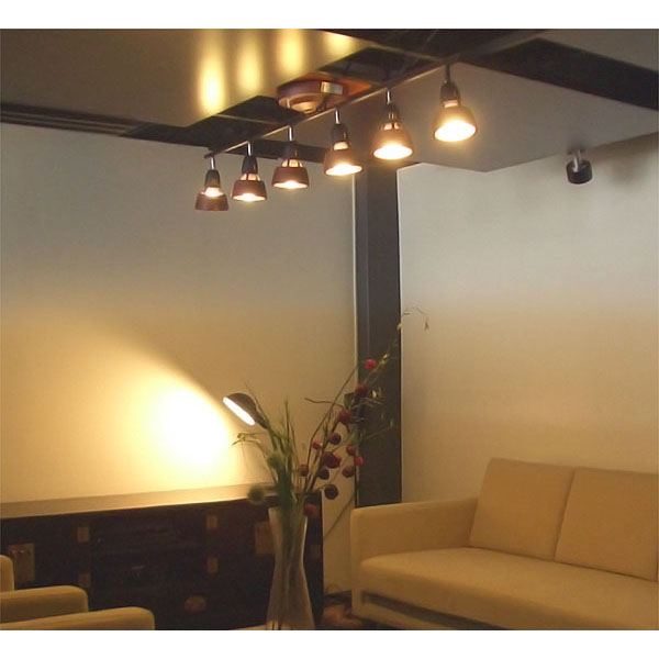 HARMONY 6-remote ceiling lamp (ハーモニーシックスリモートシーリングランプ)