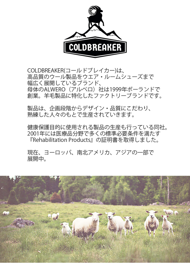 コールドブレーカー